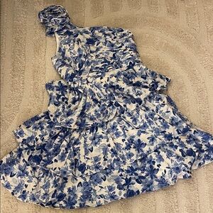 Floral Blue and White Dress